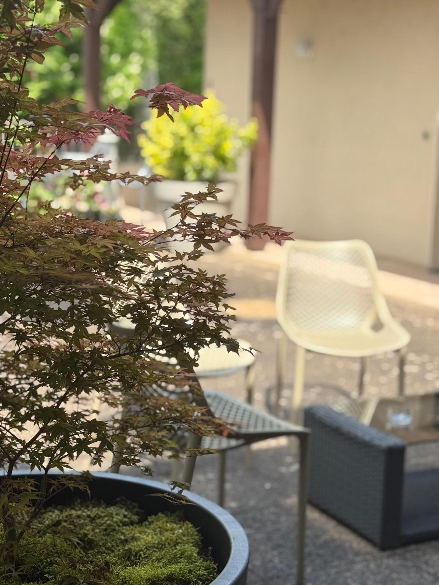 Le Victor Hugo - Hotel Et Restaurant - Logis Hotels Saint-Céré Εξωτερικό φωτογραφία